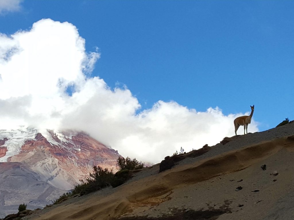 Ecuador Nationalpark Chimborazo
